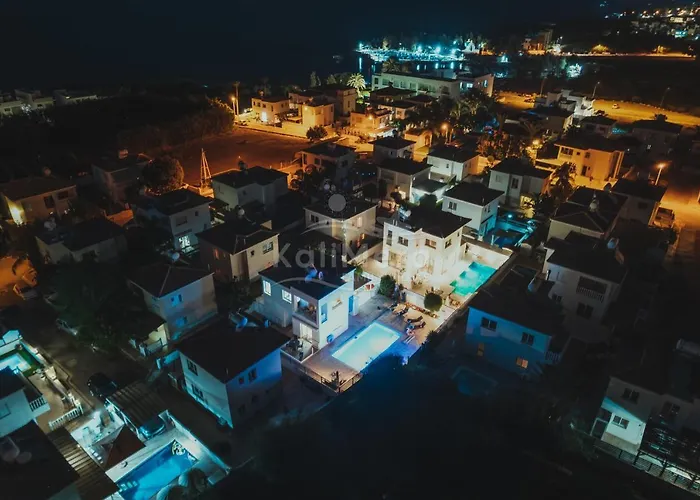 Maddie * 普罗塔拉斯